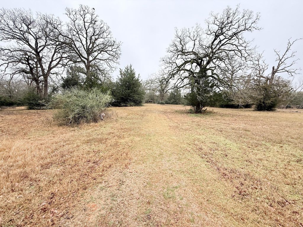 Photo of TBD Wannabe Road, Bryan, TX 77808 (MLS # 45711666)