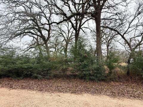 Vacant Land For Sale - TBD Wannabe Road<br/> Bryan, TX 77808