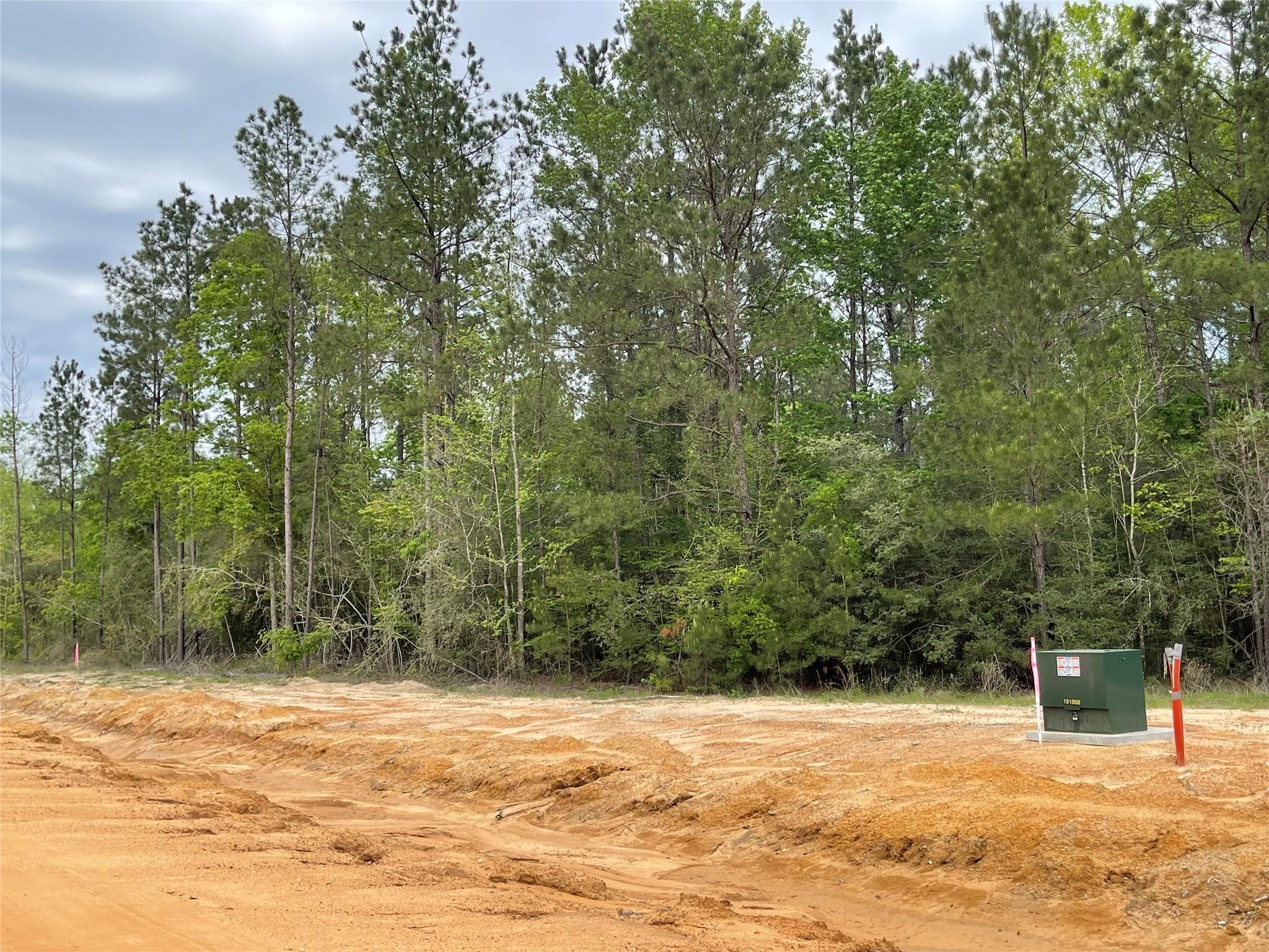 11631 Grand North Road