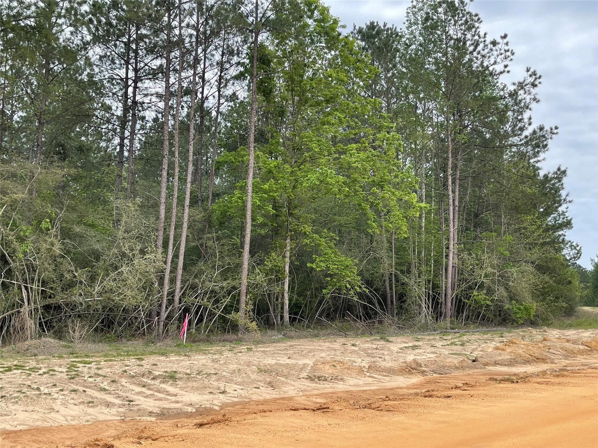 11631 Grand North Road