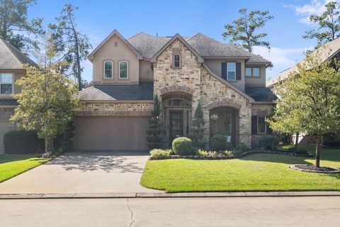 11 Canoe Bend Drive Spring TX 77389