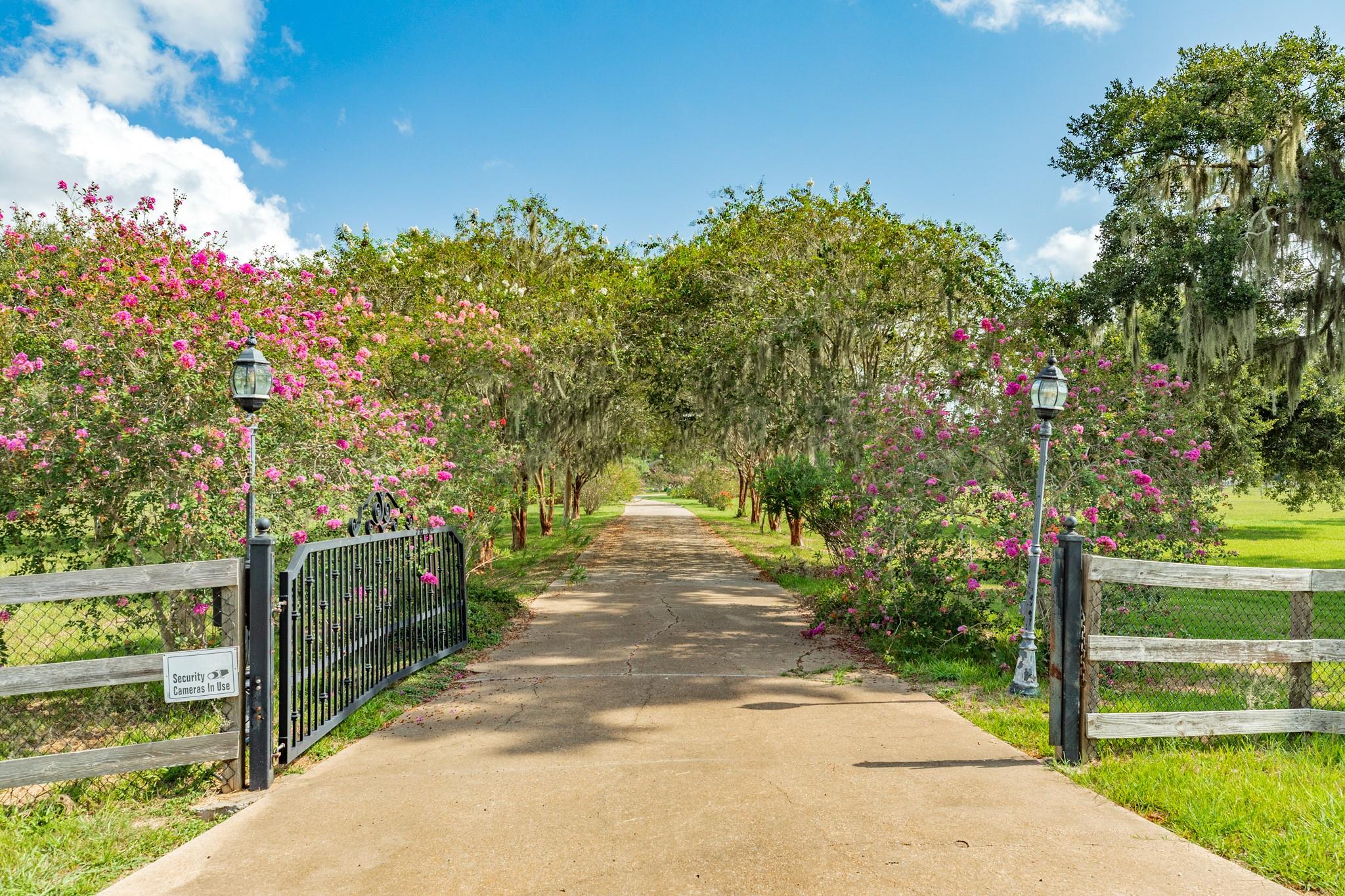 2418 Majestic Oaks Court