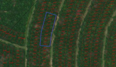 Photo of TBD Wood Forest, Livingston, TX 77351 (MLS # 66848579)