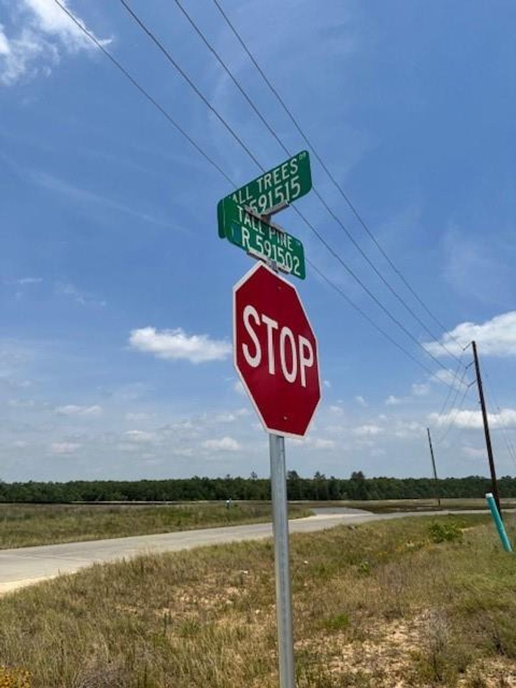 Photo of 504 5915 15, Cleveland, TX 77327 (MLS # 90147822)