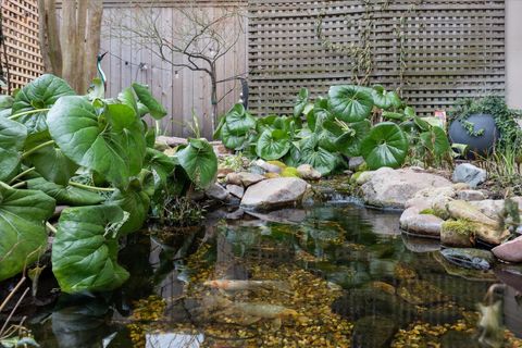 Tiny photo for 6506 Rodrigo Street, Houston, TX 77007 (MLS # 25122824)