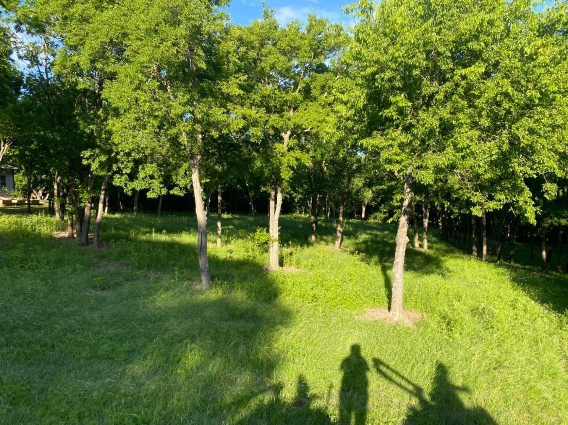 6537 Shoreline Drive