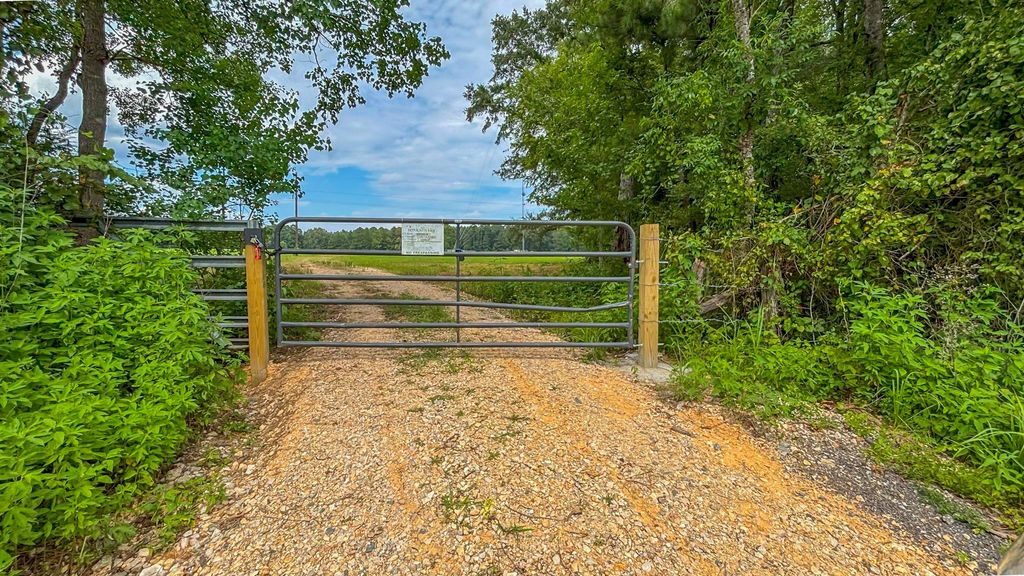 Photo of 0 S Us Highway 96, San Augustine, TX 75972 (MLS # 58154484)