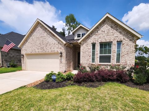 Photo of 204 Bronzewood Terrace Court, Conroe, TX 77318 (MLS # 21827213)