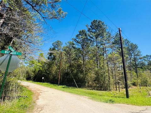 Vacant Land For Sale - 00 Creekbend Drive<br/> Plantersville, TX 77363