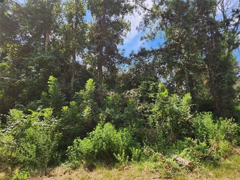 Vacant Land For Sale - LOT 27 Mayhaw Lane<br/> Plantersville, TX 77363