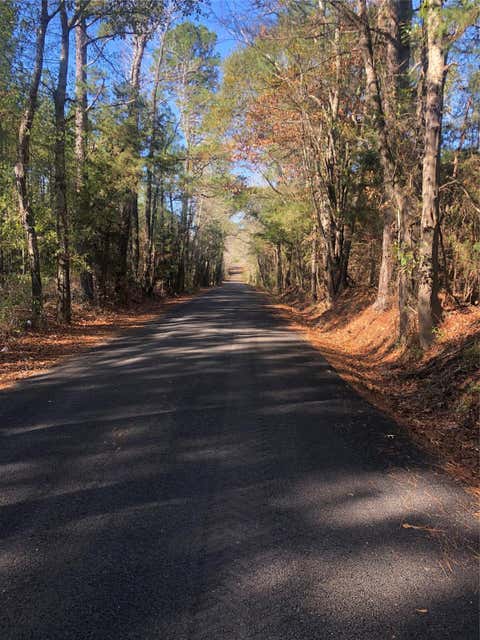 Photo of 20894 Franklin Drive, Troup, TX 75789 (MLS # 86712691)