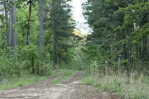 Photo of 2686 Cr 321 Road, Jewett, TX 75846 (MLS # 97594133)