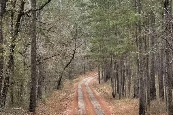 2686 Cr 321 Road