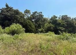 2686 Cr 321 Road