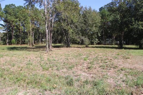 Photo of 715 Dayna Lane, Sour Lake, TX 77659 (MLS # 67266955)