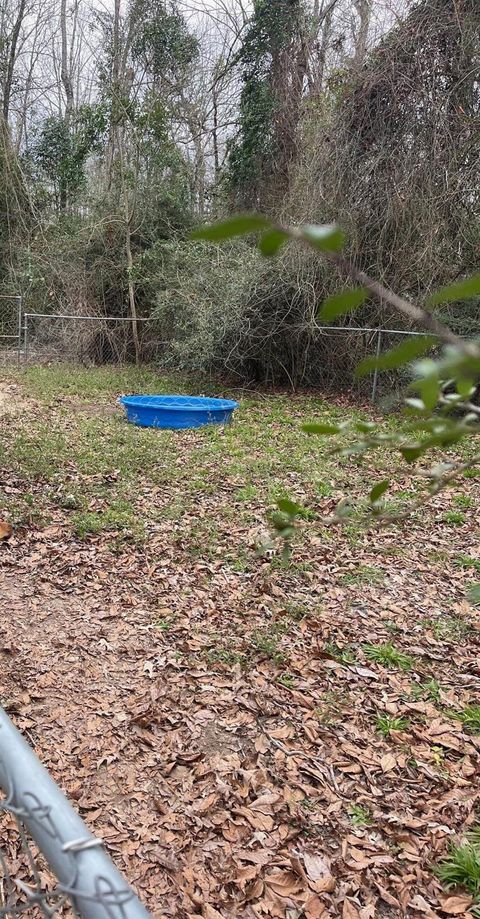 Tiny photo for 307 Cr 3003, Newton, TX 75966 (MLS # 16340537)