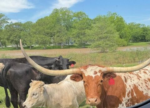 6319 Fm 1489 Brookshire TX 77423