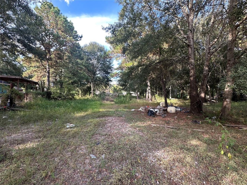 Photo of 25929 Essex, New Caney, TX 77357 (MLS # 47124592)