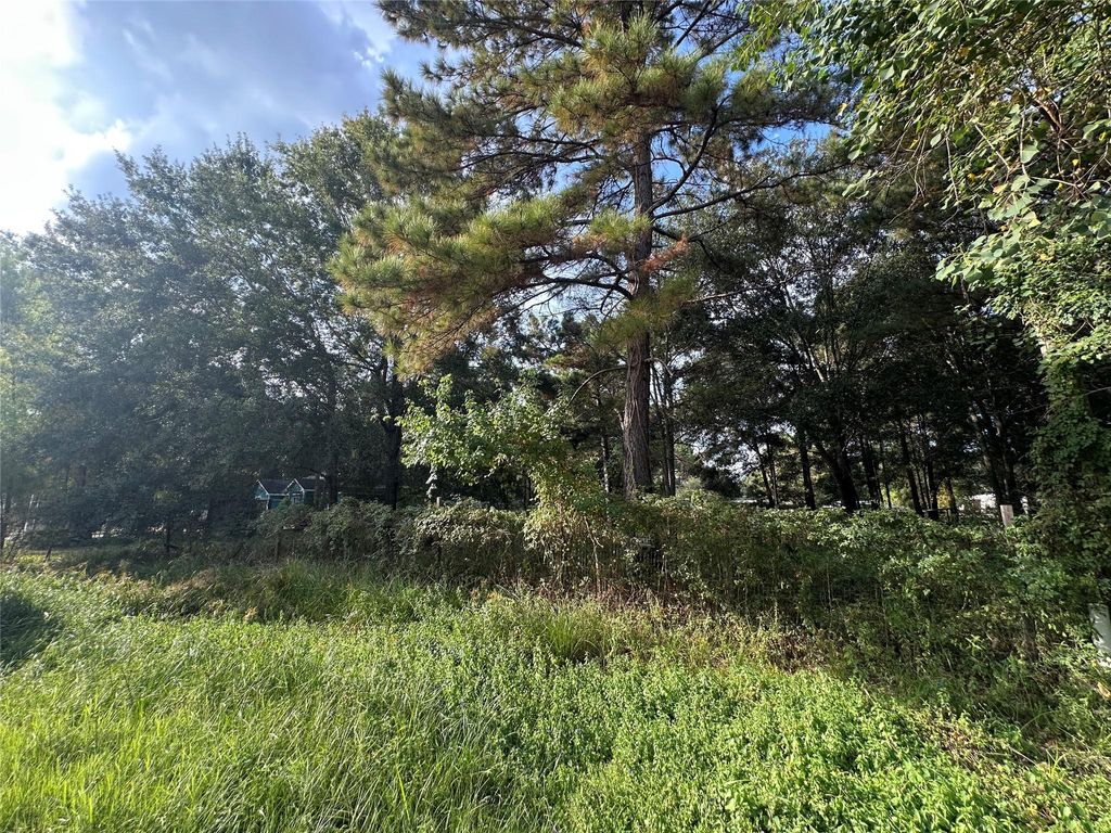 Photo of 25929 Essex, New Caney, TX 77357 (MLS # 47124592)