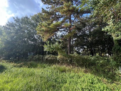 Photo of 25929 Essex, New Caney, TX 77357 (MLS # 47124592)