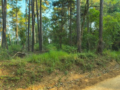 Photo of tbd County Line Rd, Livingston, TX 77351 (MLS # 49782832)