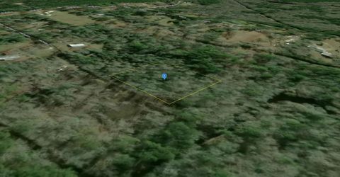 Photo of 0 Last Stand Lane, Silsbee, TX 77656 (MLS # 14138698)