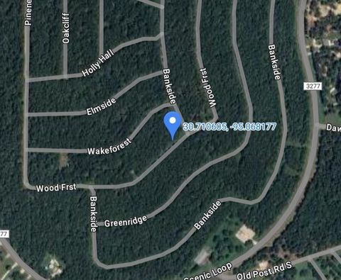 Photo of 448 Wood Forest, Livingston, TX 77351 (MLS # 38755354)