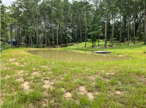 Photo of 768 County Road 219, Brookeland, TX 75931 (MLS # 50556347)