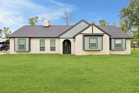 Photo of 663 County Road 4432, Dayton, TX 77535 (MLS # 71873190)