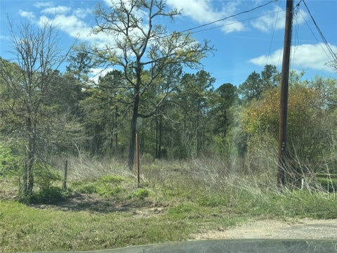 Vacant Land For Sale - 43 Gerome Drive<br/> Walker County, Huntsville, TX 77320