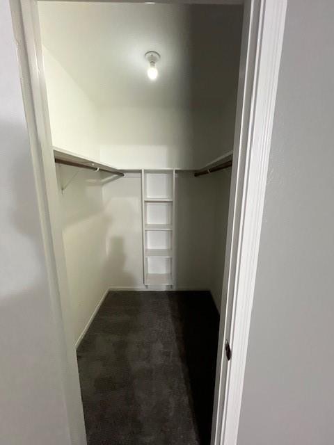 426 Irene Drive