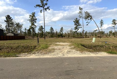 Photo of 18265 Bellfounder Drive, Conroe, TX 77306 (MLS # 55595608)