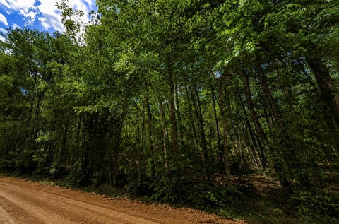 Photo of 1 Crossroads Drive, New Waverly, TX 77358 (MLS # 26740979)