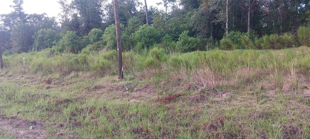 Photo of 4238 Road 5714, Cleveland, TX 77327 (MLS # 49769703)