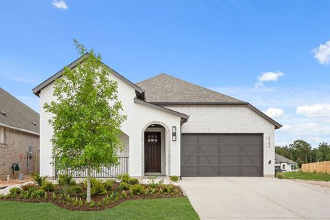 Photo of 2154 Stillhouse Drive, Todd Mission, TX 77316 (MLS # 57800564)