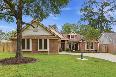 Photo of 25010 Shalford Drive, Spring, TX 77389 (MLS # 53566177)