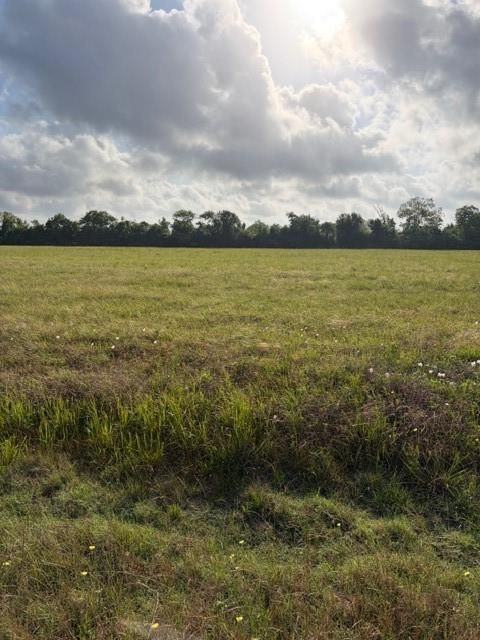 Photo of 0 Brahman Trail, Angleton, TX 77515 (MLS # 5966389)
