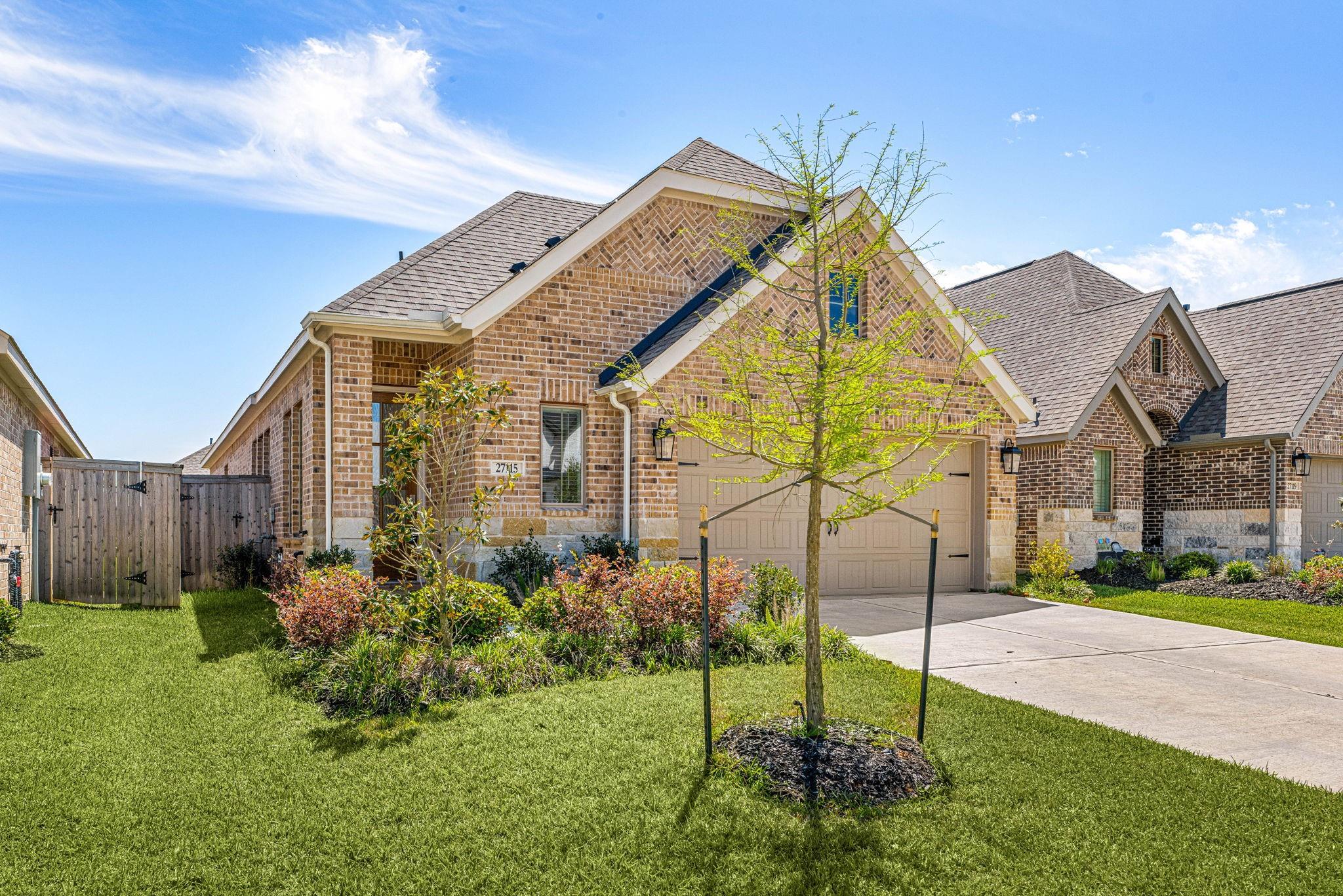 27115 Butterfly Mint Lane