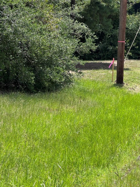 Vacant Land For Sale - 19 Pozos Lane<br/> Conroe, TX 77303