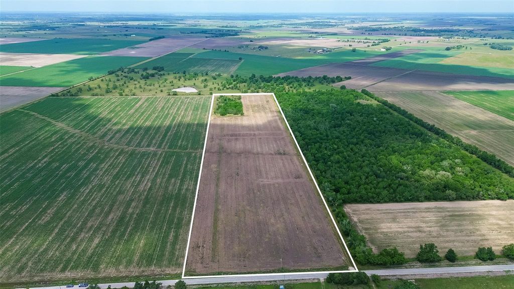 Photo of 0 Walker Road, Beasley, TX 77417 (MLS # 77578092)