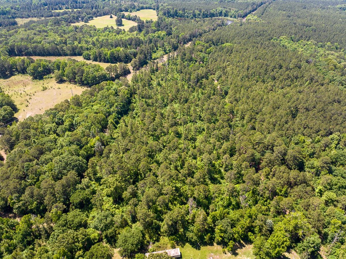 2 County Road 1115