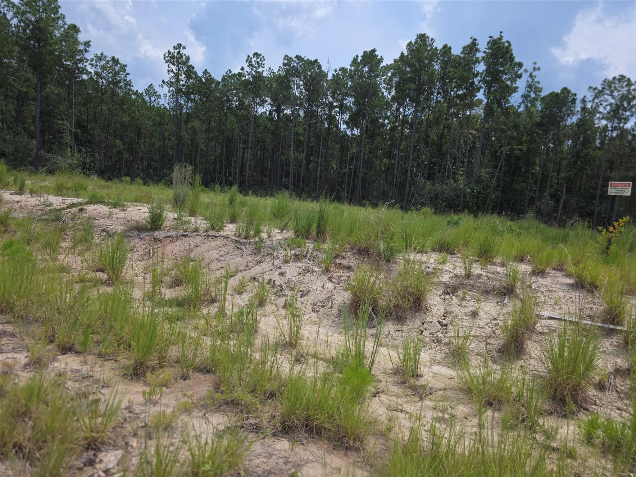 135 Rayburn Reserve Drive