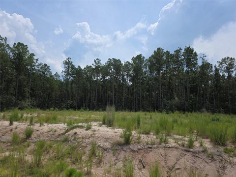 Photo of 135 Rayburn Reserve Drive, Jasper, TX 75931 (MLS # 34605358)