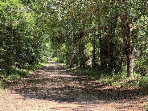 Photo of TBD Holly Grove Road, Livingston, TX 77351 (MLS # 70097913)