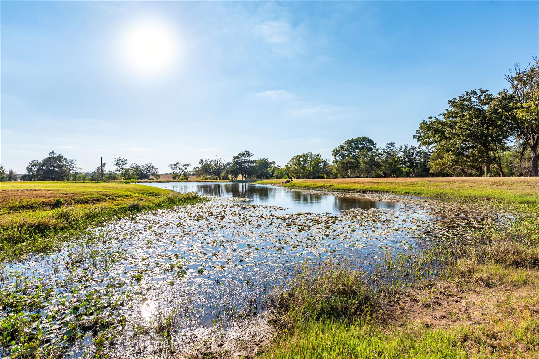 3677 Reinhardt Rd Road