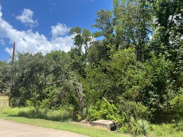 1131 Bronco Trail