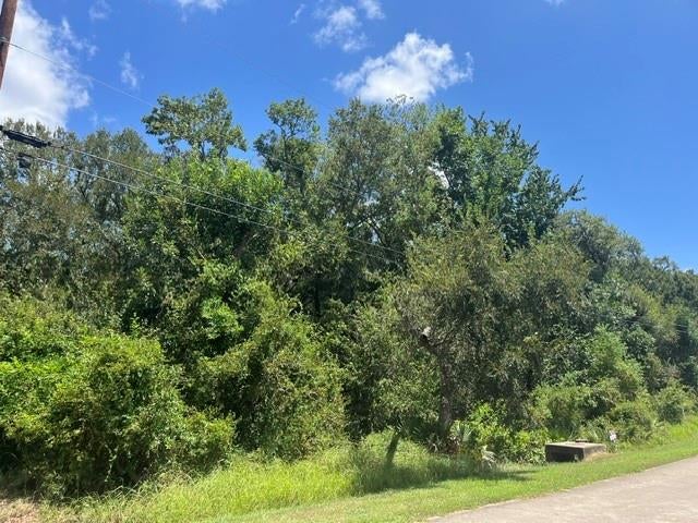 1131 Bronco Trail