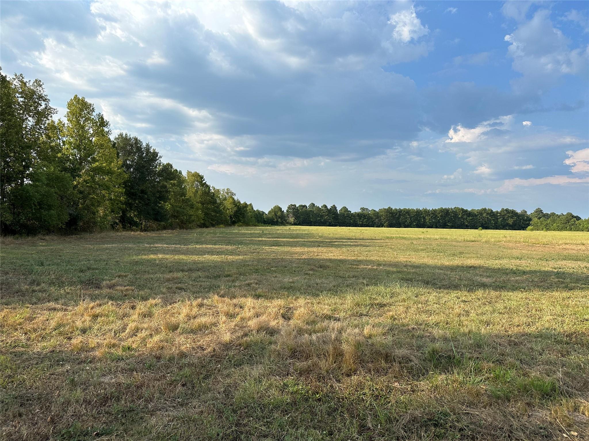 TBD Hwy 105 County Road 2266