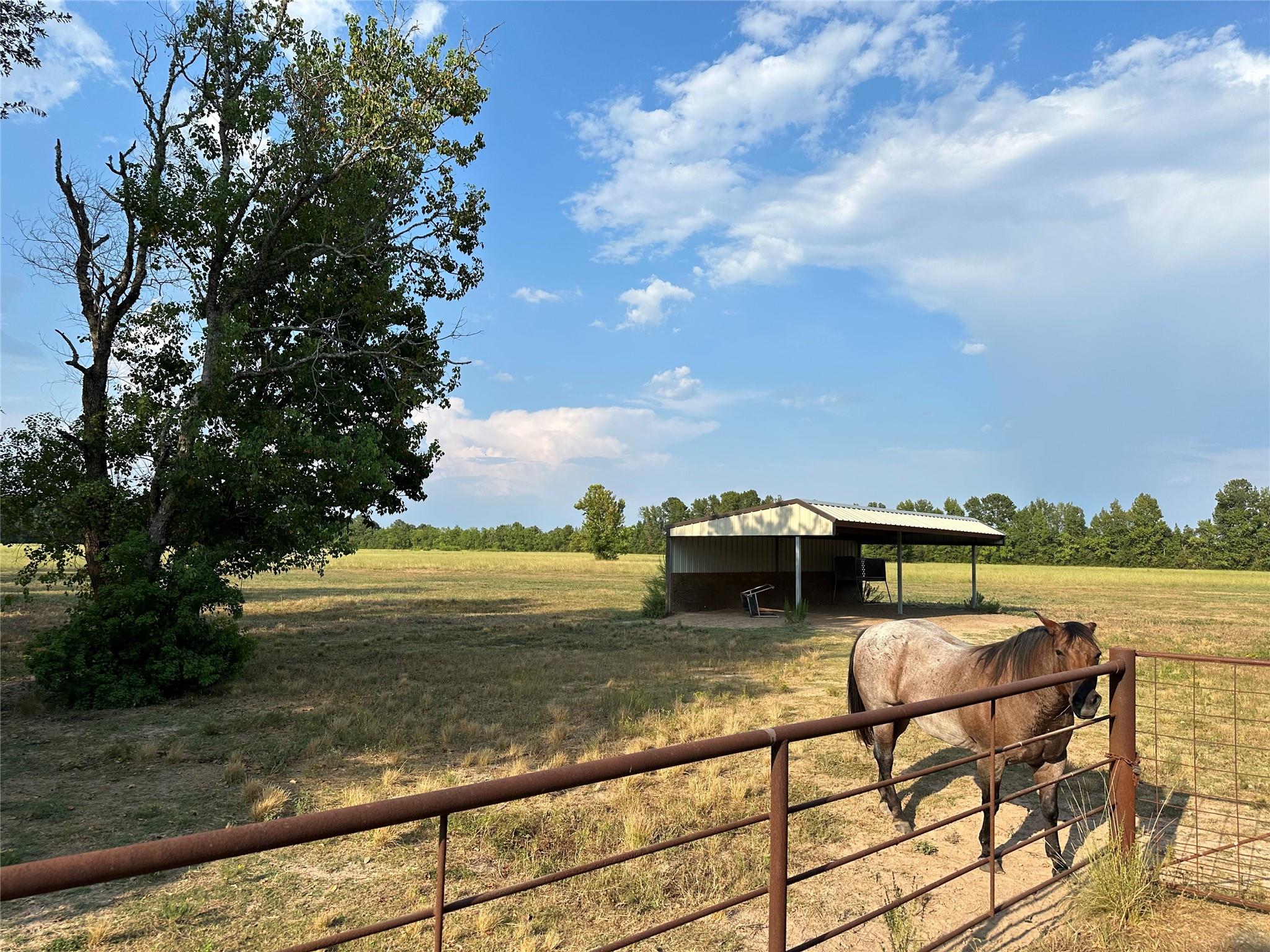 TBD Hwy 105 County Road 2266