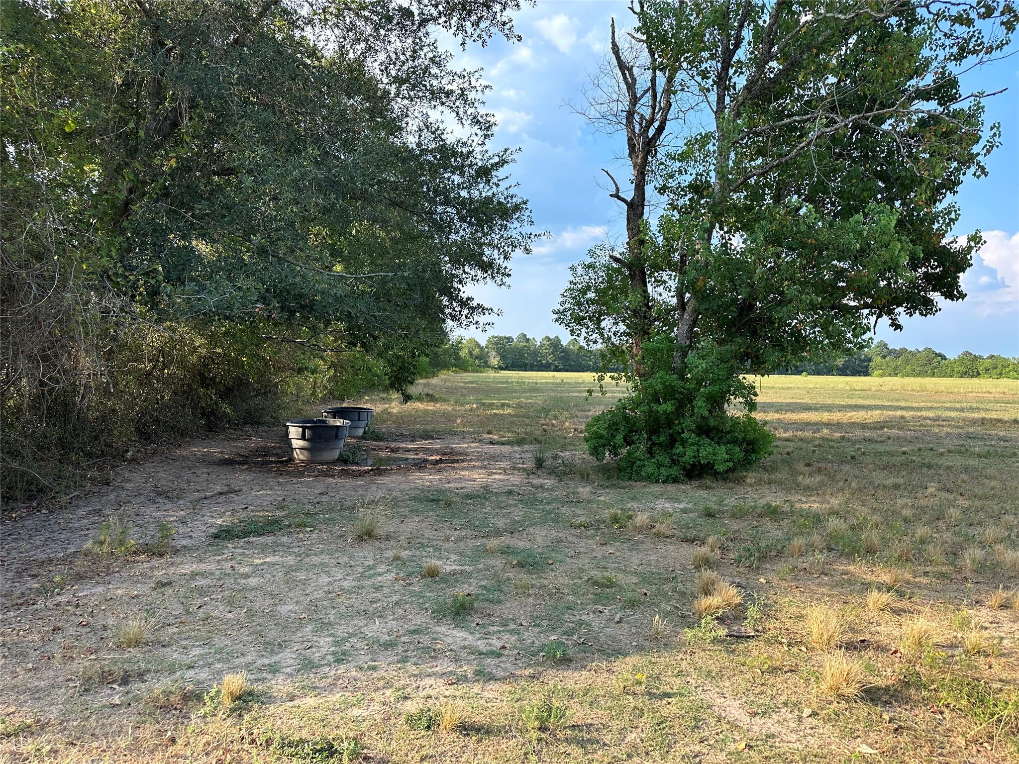 TBD Hwy 105 County Road 2266